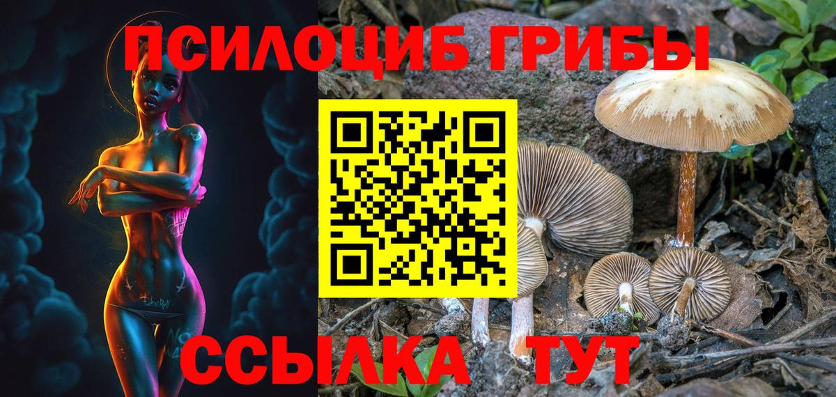 Псилоцибиновые грибы Cubensis Краснокаменск