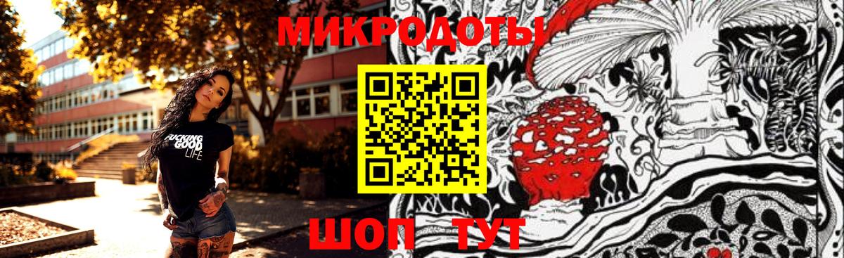 Галлюциногенные грибы ЛСД  Вход с VPN  купить наркотики цена  Краснокаменск 